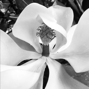 Meet your Posher, Haneen